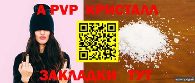 молекула духа Нальчик