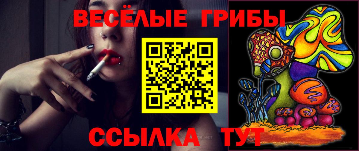 даркнет сайт  Галлюциногенные грибы ЛСД  Галлюциногенные грибы Psilocybe  Вход с VPN  Рославль 