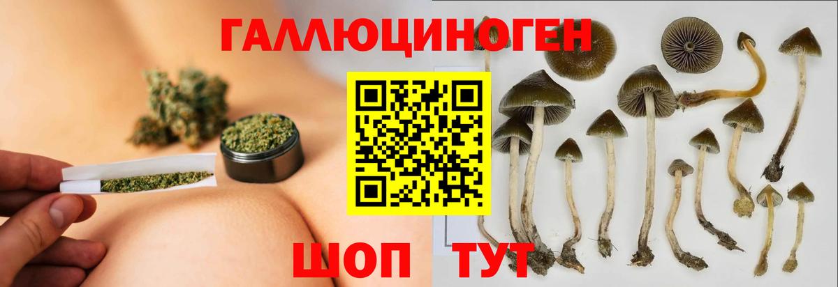 ГЕРОИН  A PVP СК кристаллы  Конопля  Рославль  ГАШИШ  КОКАИН  МЕФ   Вход с VPN 
